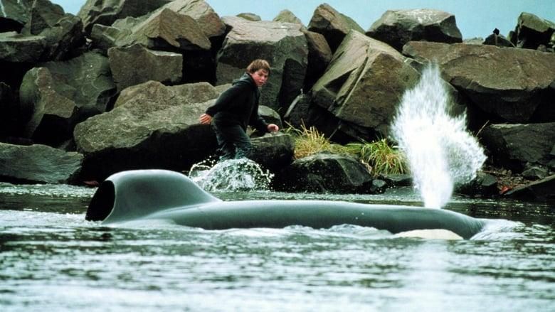 Free Willy thumbnail