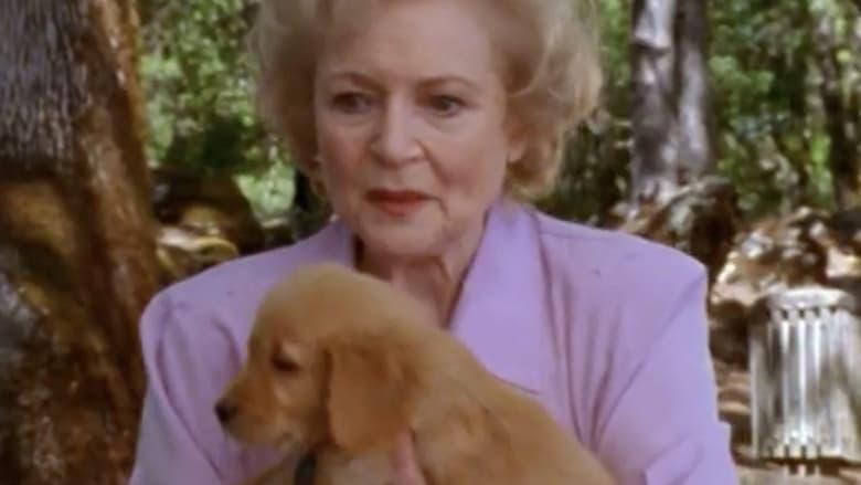 The Retrievers thumbnail