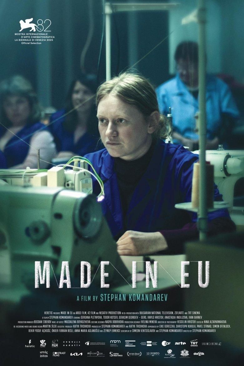 Made in EU poster image