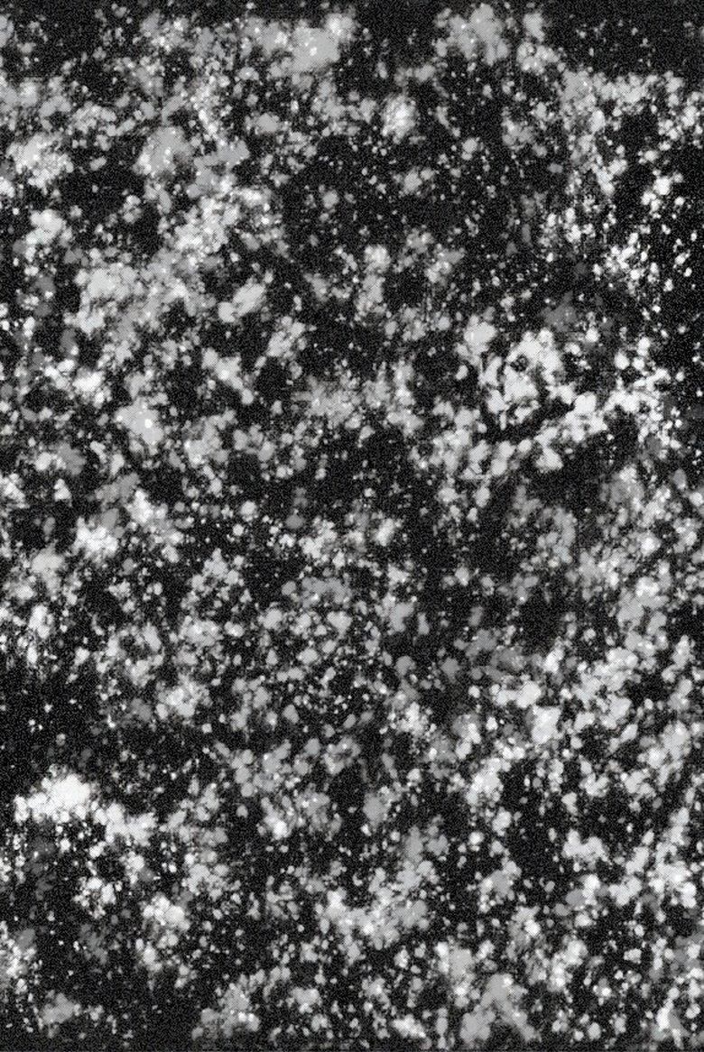 Keep That Dream Burning poster image