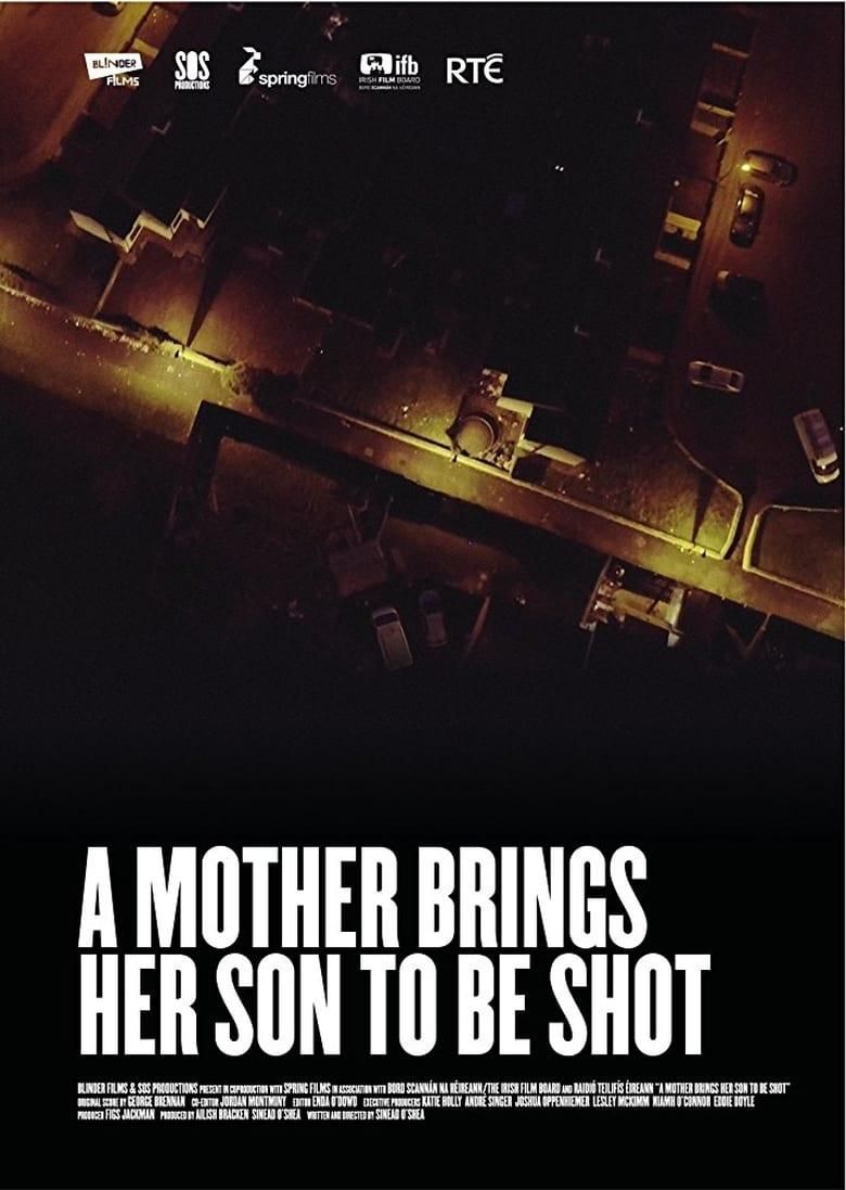 A Mother Brings Her Son to Be Shot poster image