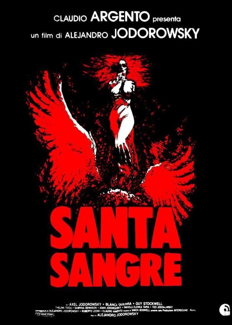 Santa Sangre poster image