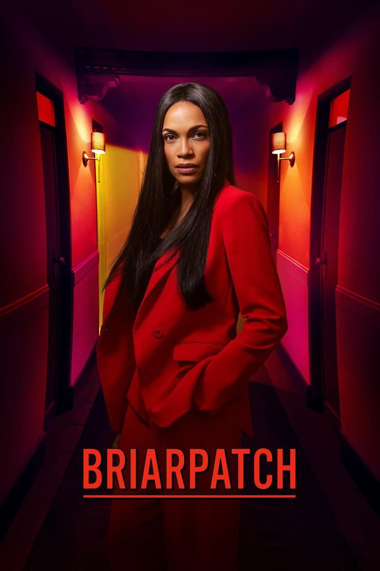 Briarpatch logo