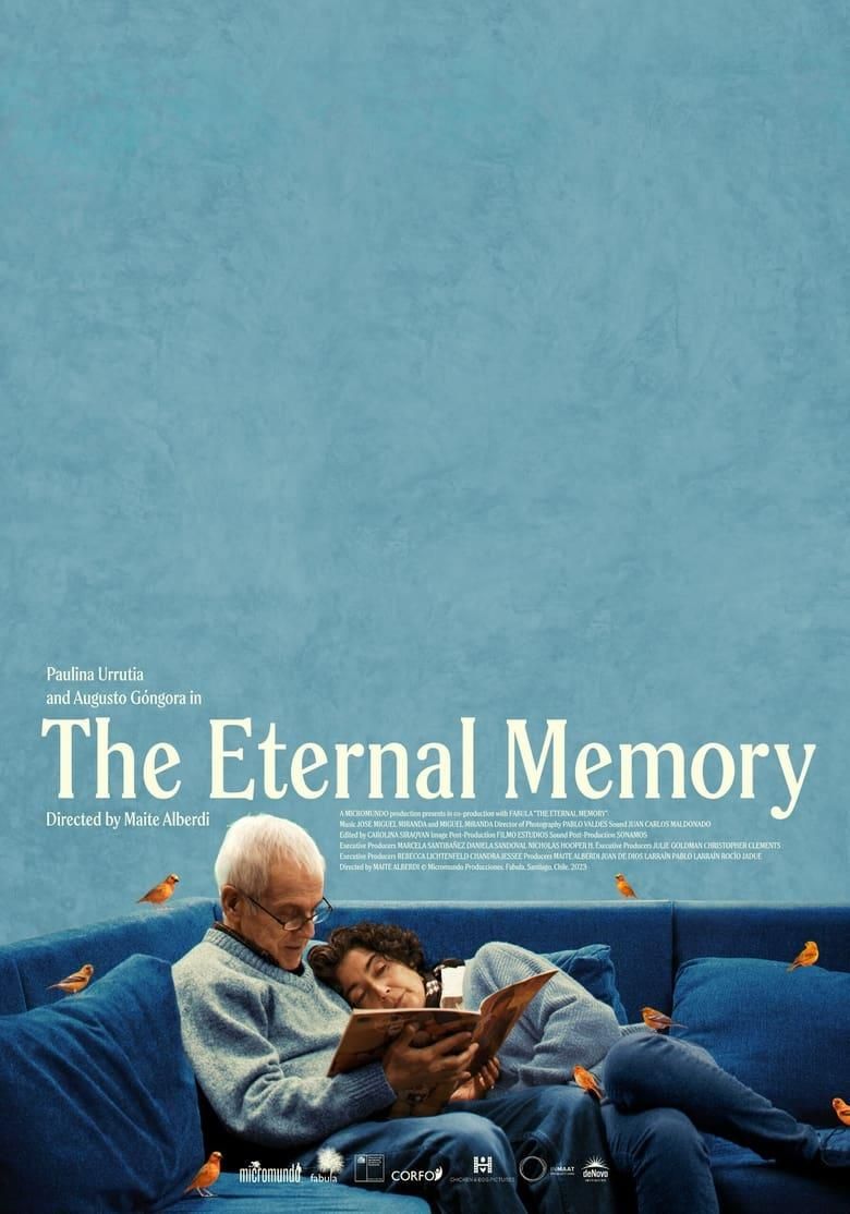The Eternal Memory poster image