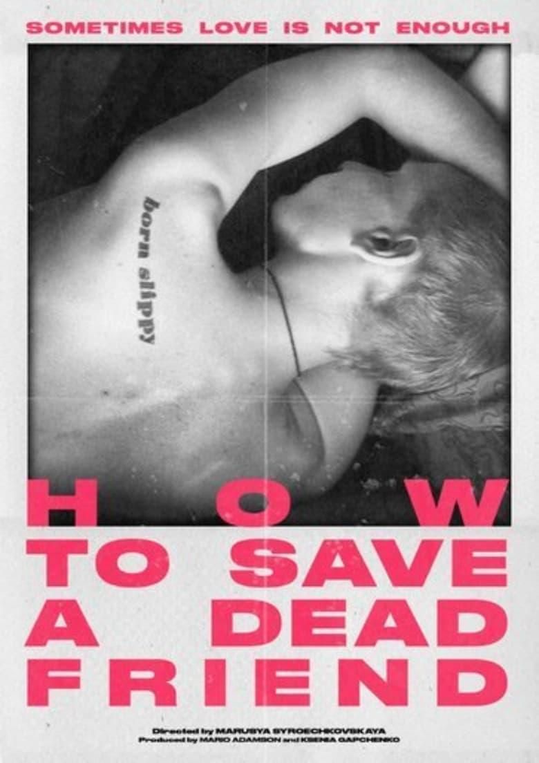 How to Save a Dead Friend poster image