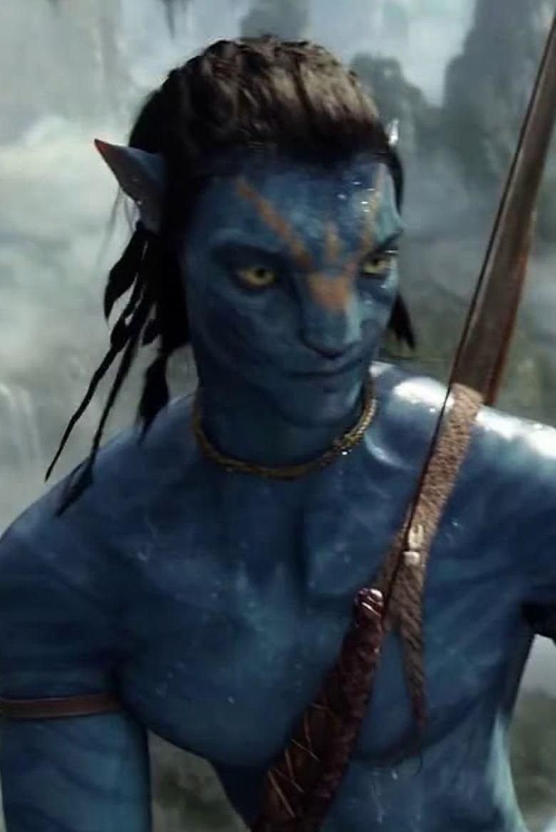 Avatar: Scene Deconstruction poster image