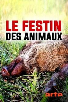 Le festin des animaux poster image