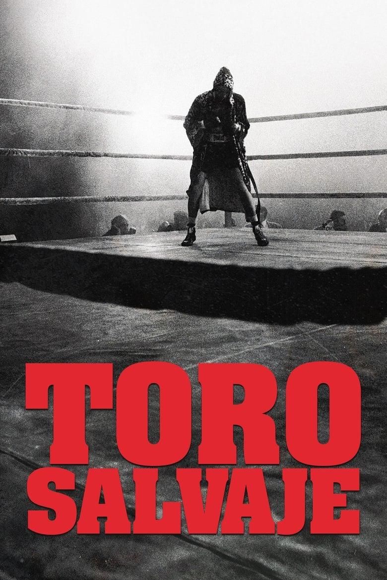Toro salvaje poster image