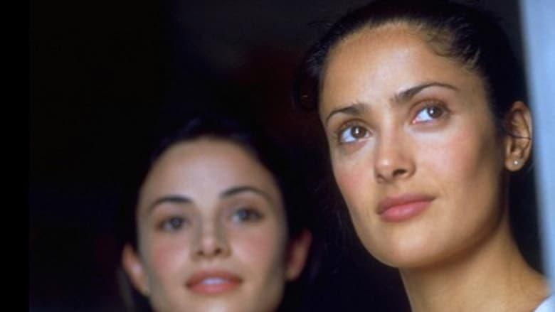 In the Time of the Butterflies thumbnail