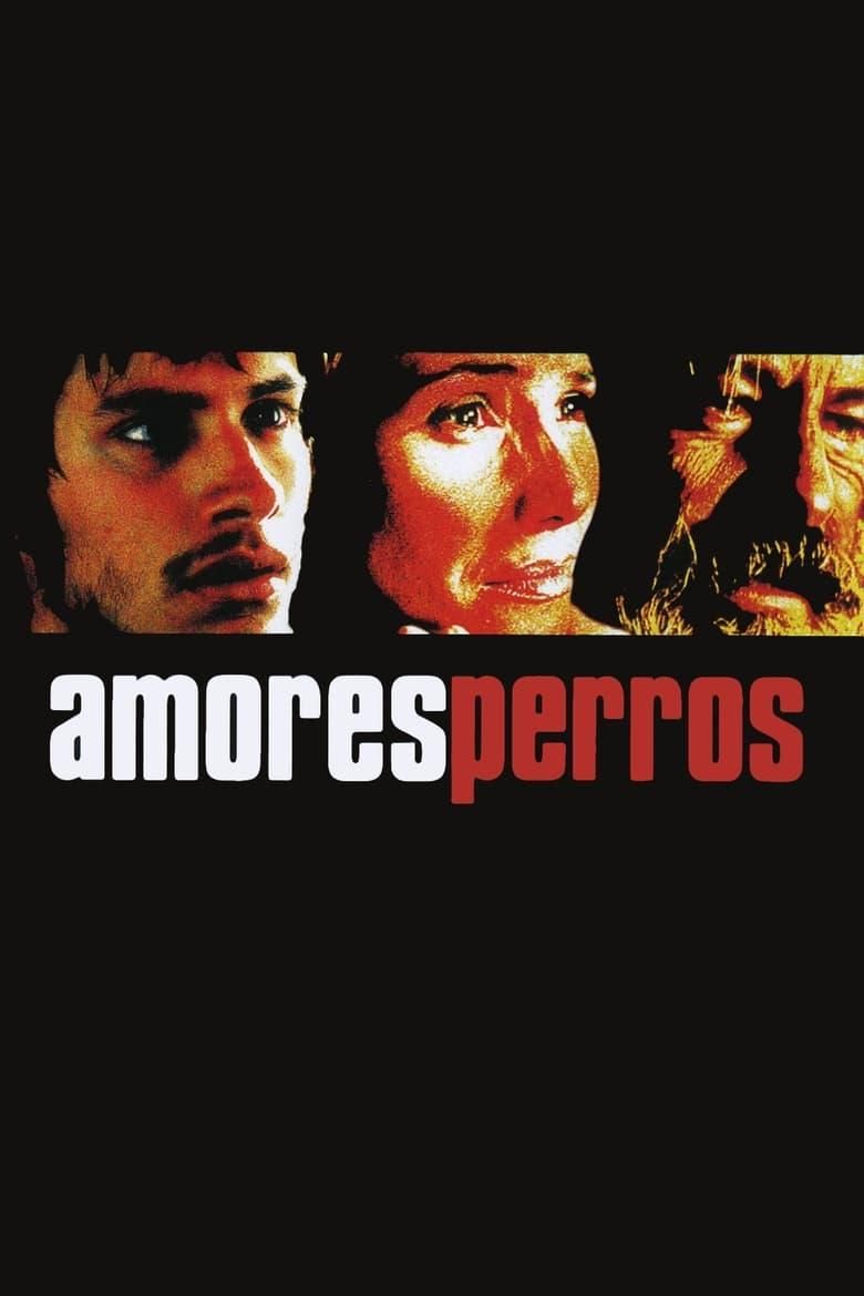 Amores perros poster image