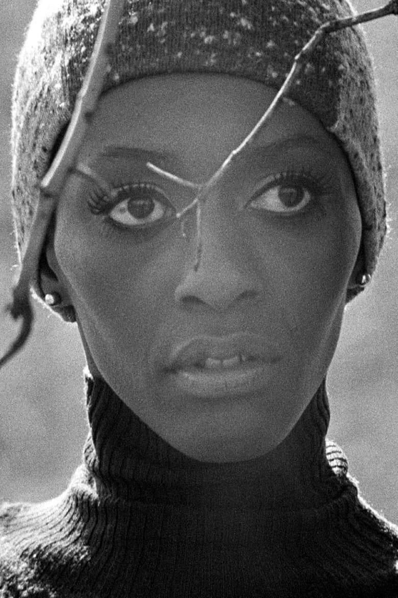 Invisible Beauty logo