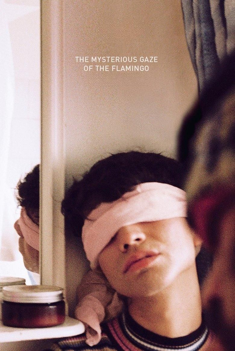The Mysterious Gaze of the Flamingo poster image