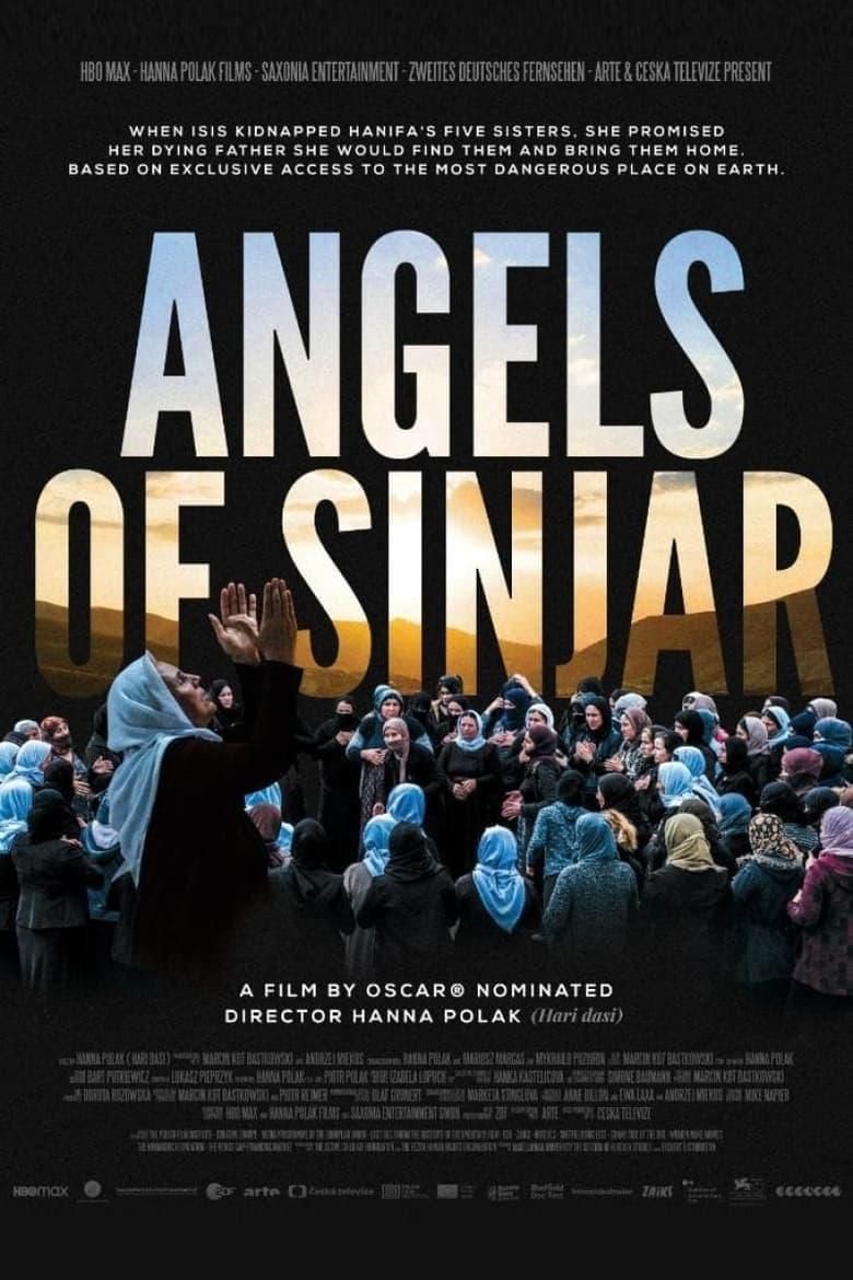 Angels of Sinjar poster image