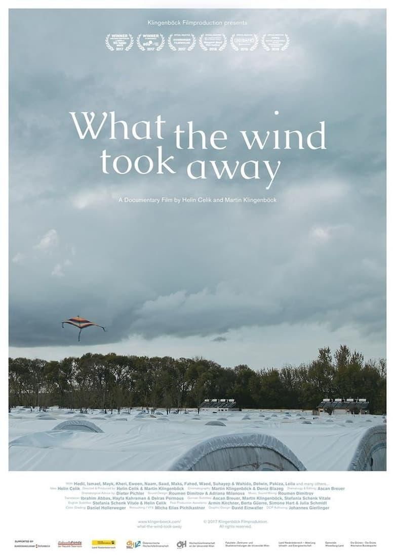 What the Wind Took Away poster image