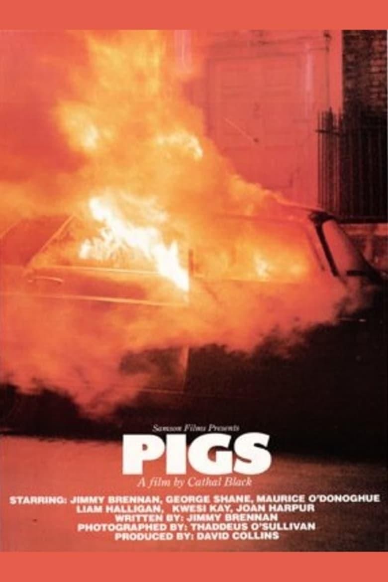Pigs poster image