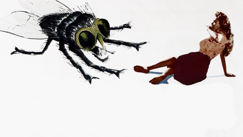 The Fly thumbnail