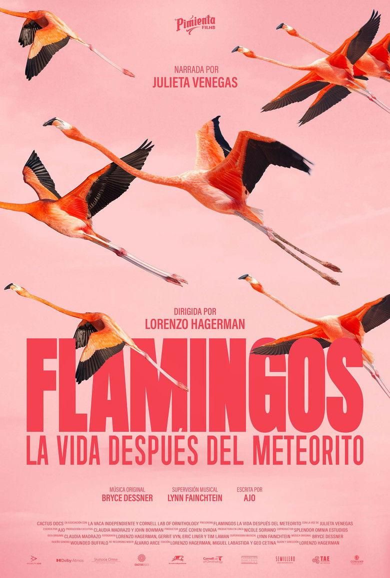 Flamingos poster image