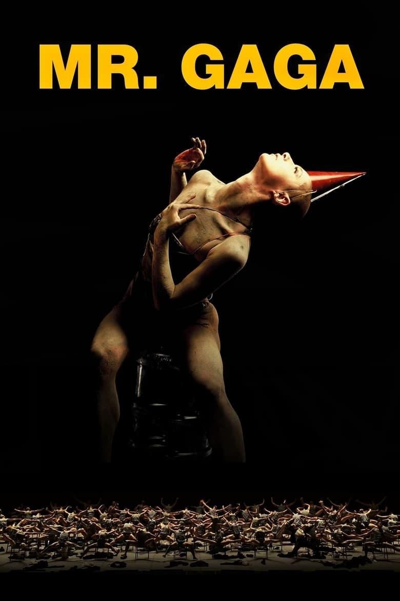 Mr. Gaga poster image