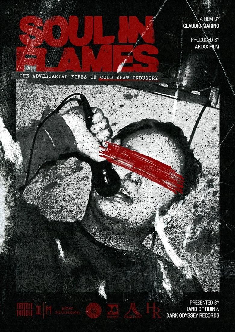 Soul in Flames poster image
