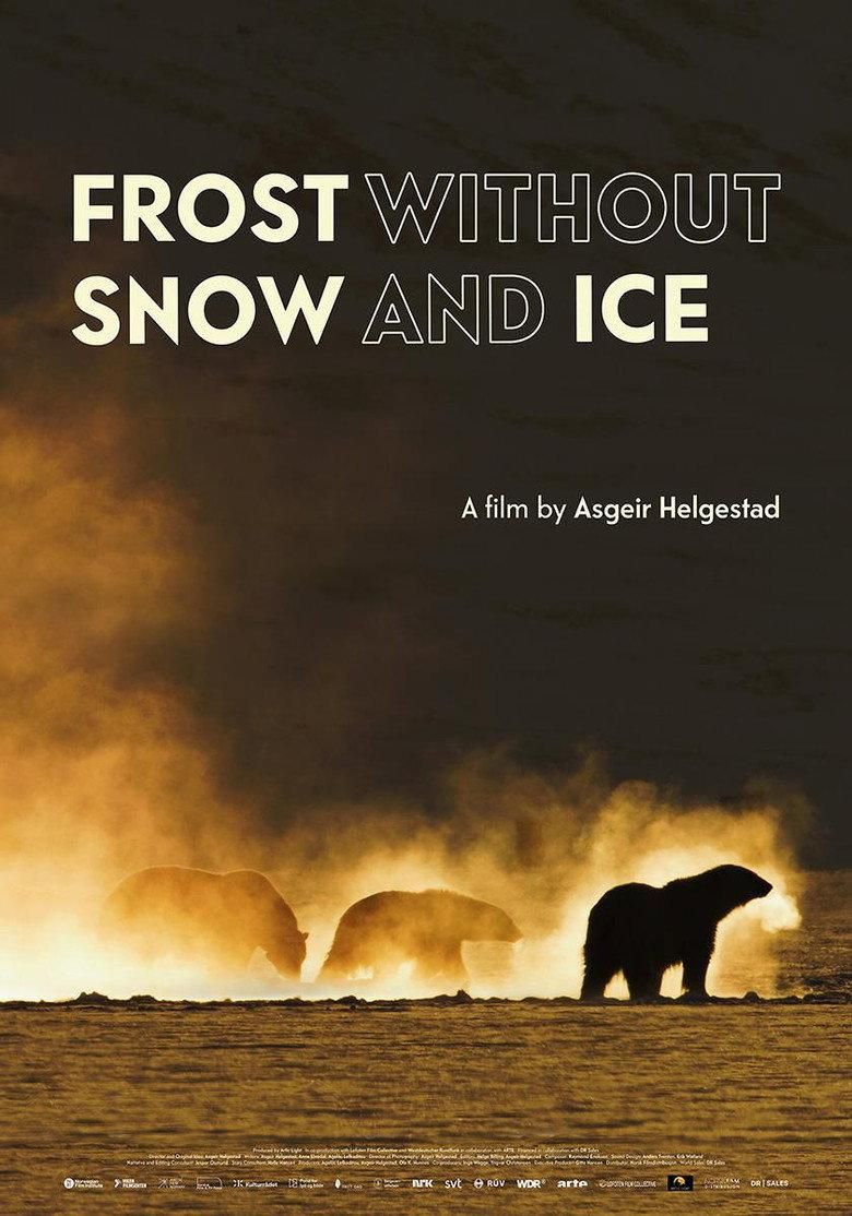 Frost Without Snow and Ice poster image