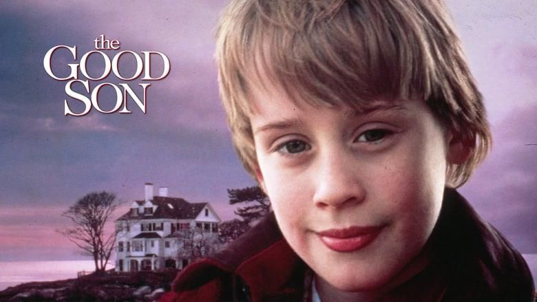The Good Son thumbnail