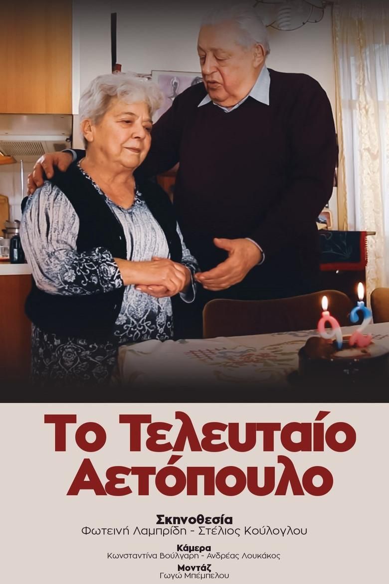 The Last Partisan poster image