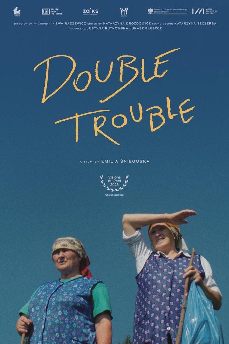 Double Trouble poster image