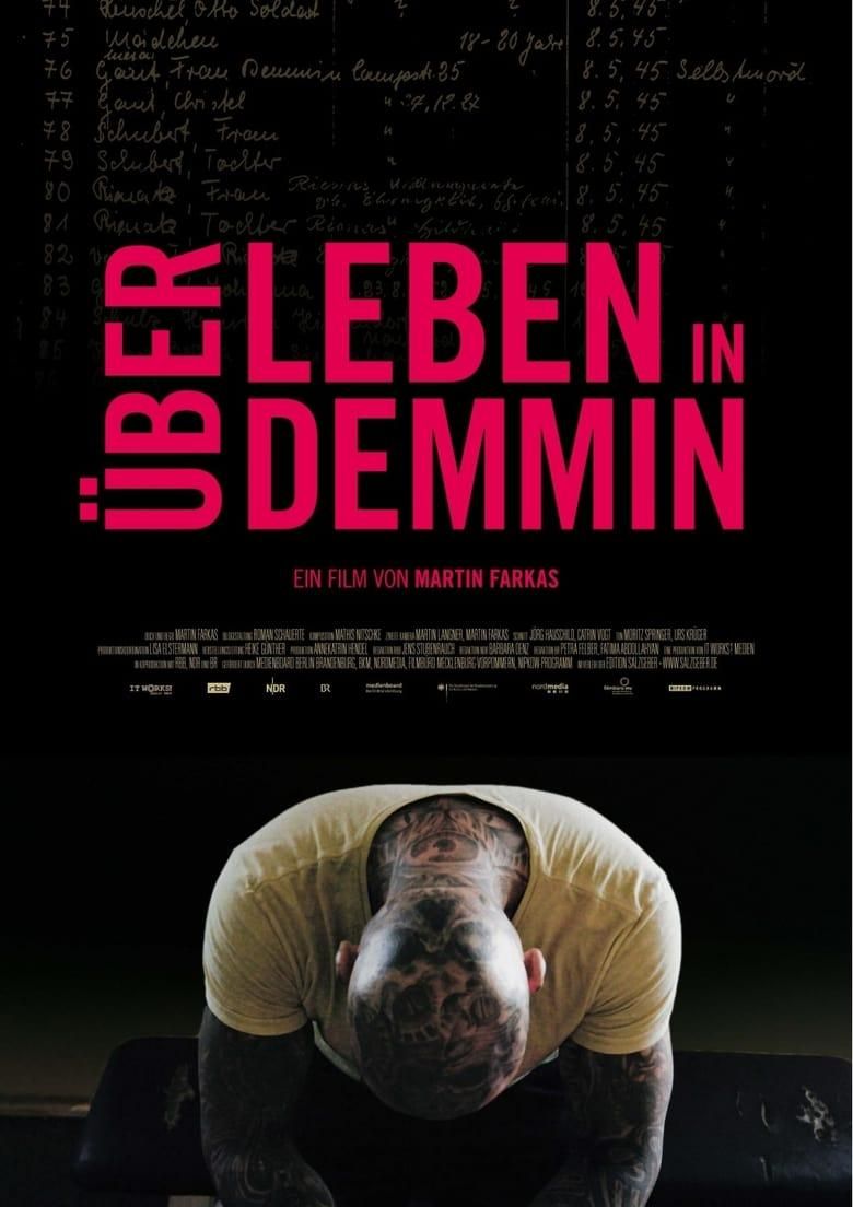 Surviving in Demmin poster image