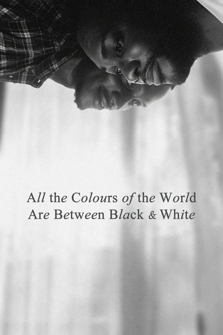 All the Colours of the World Are Between Black and White poster image