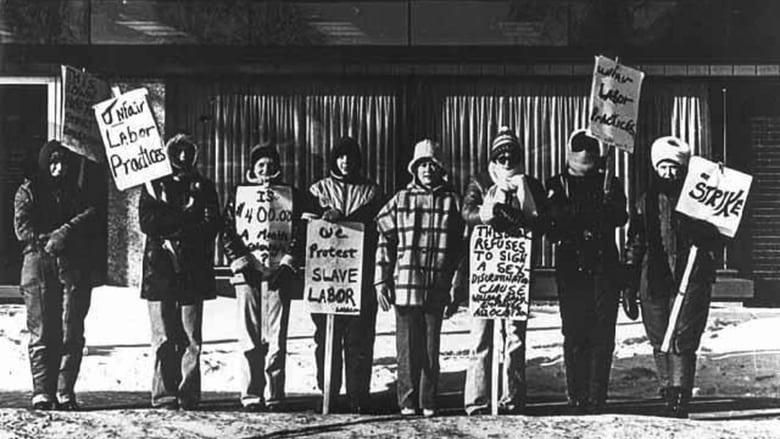 The Willmar 8 thumbnail