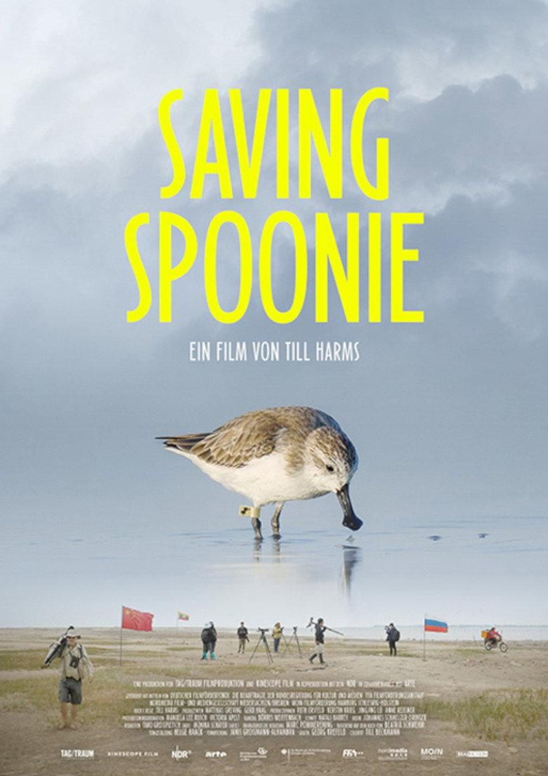 Saving Spoonie poster image