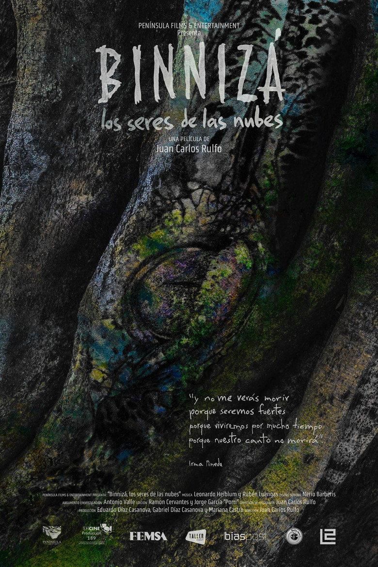 Binnizá, The Beings Of The Clouds poster image