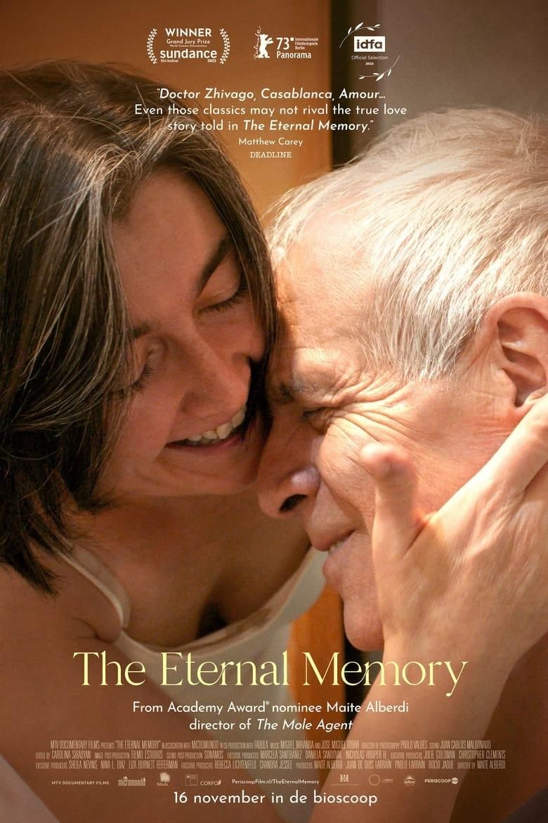 The Eternal Memory poster image
