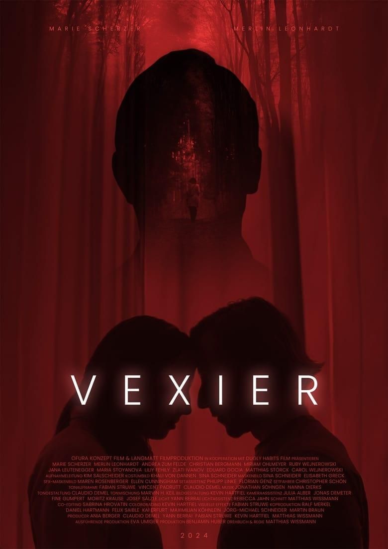 Vexier poster image