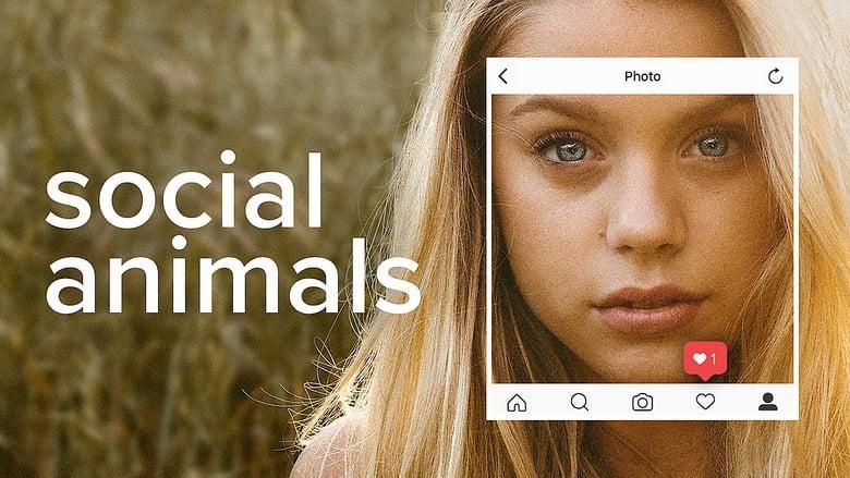 Social Animals thumbnail