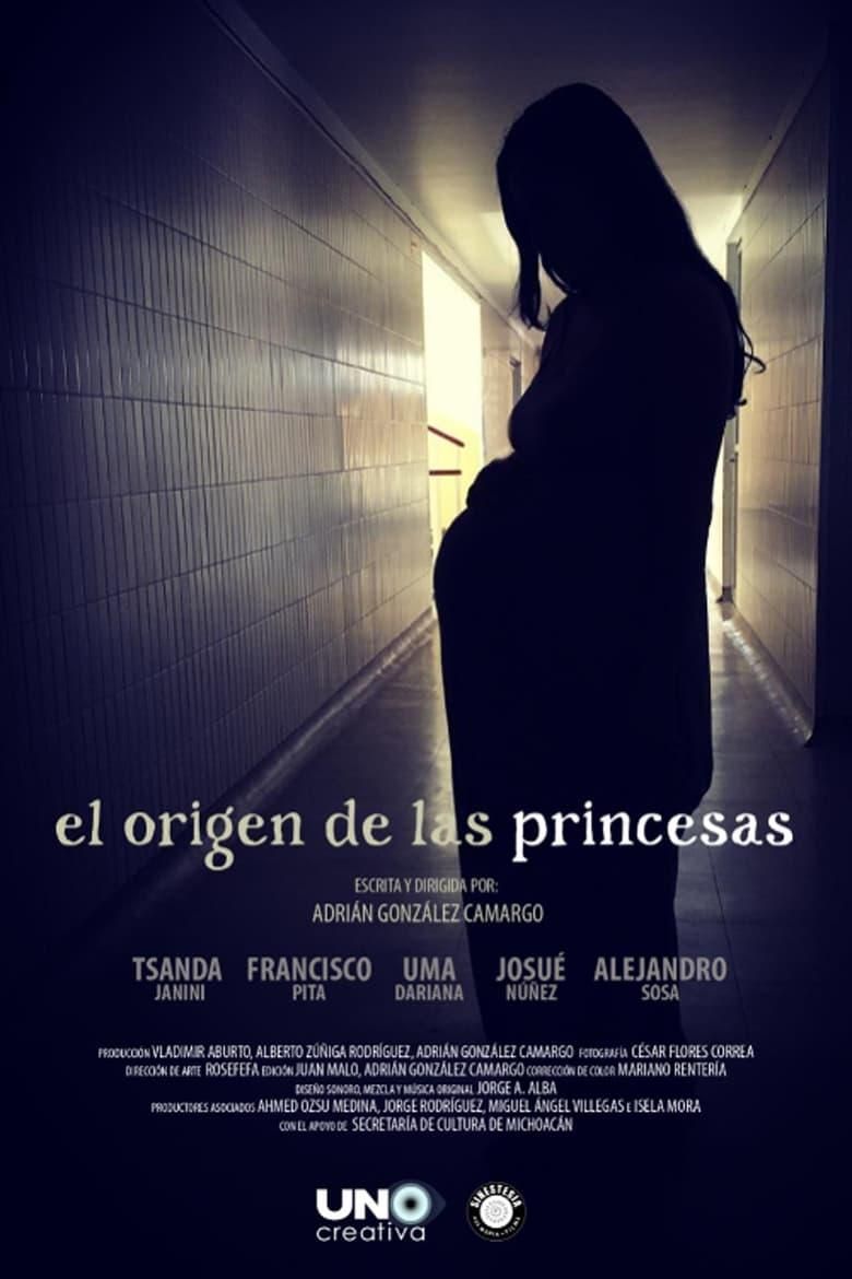 The provenance of the princesses poster image