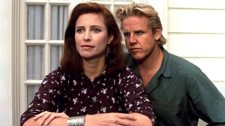 Hider in the House thumbnail