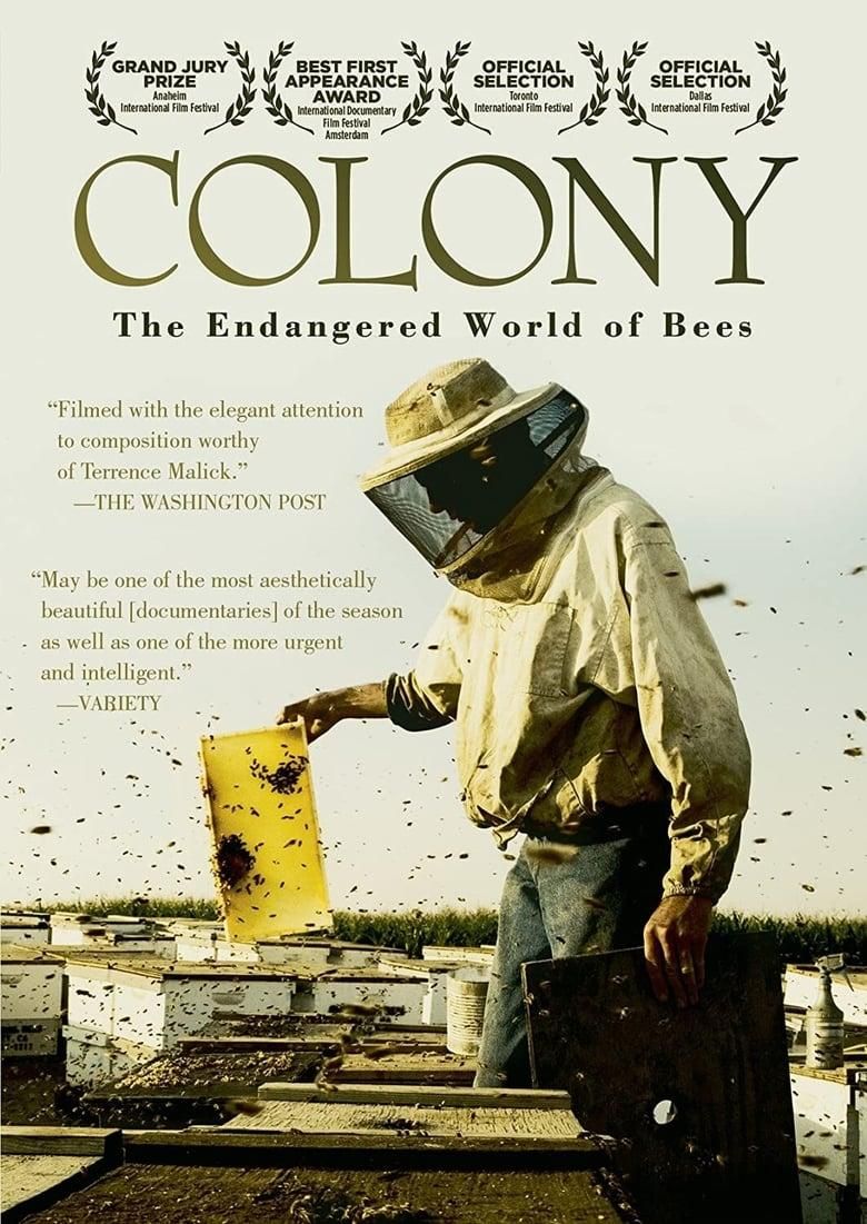 Colony poster image
