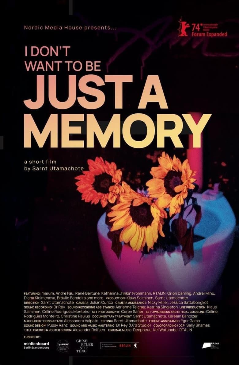 I Don’t Want to Be Just a Memory poster image