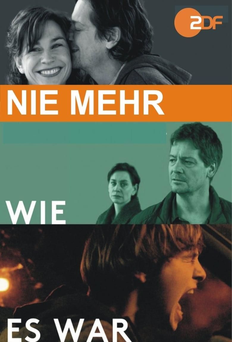Nie mehr wie es war poster image