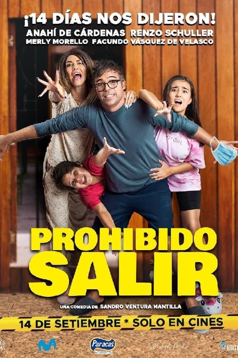 Prohibido salir poster image