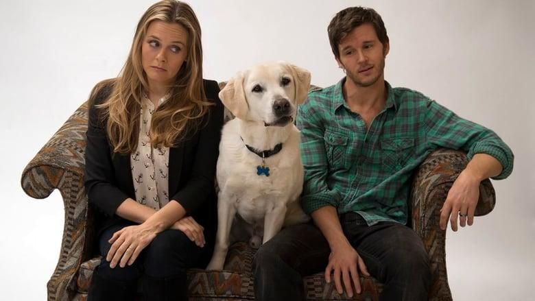 Who Gets the Dog? thumbnail