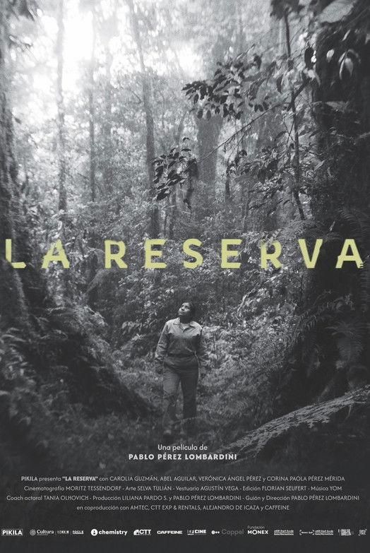 The Reserve poster image