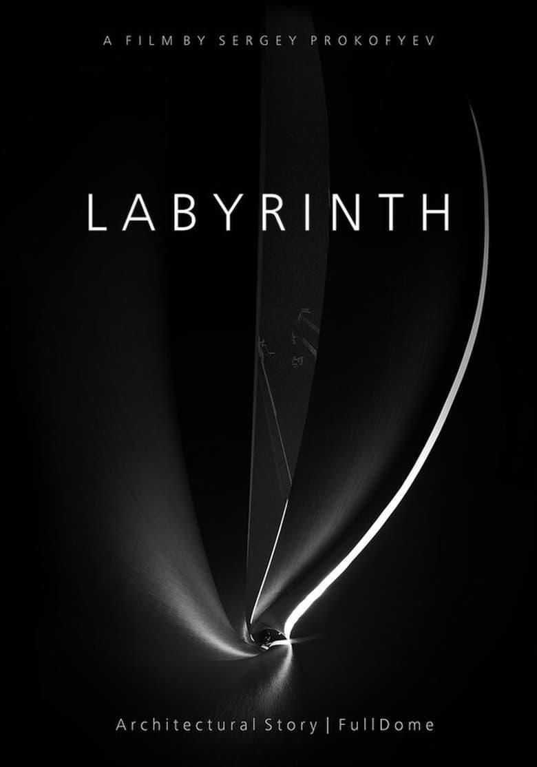 Labyrinth poster image