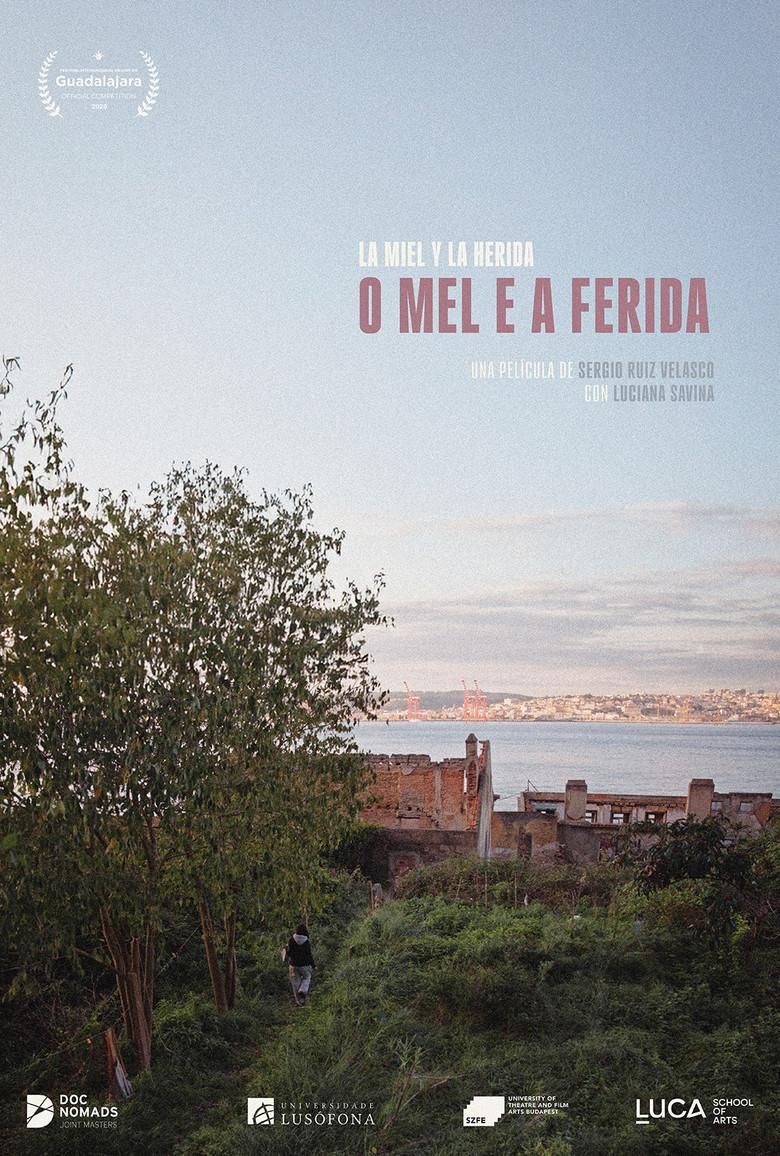 La miel y la herida poster image