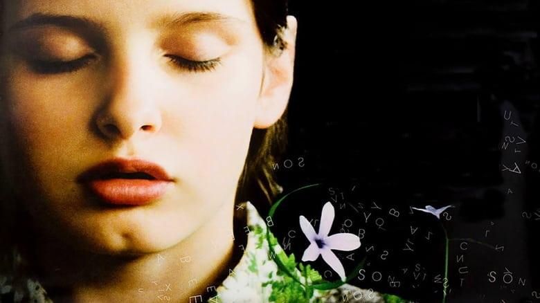 Bee Season thumbnail