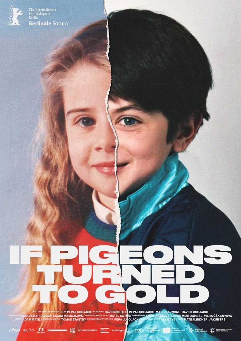 If Pigeons Turned to Gold poster image