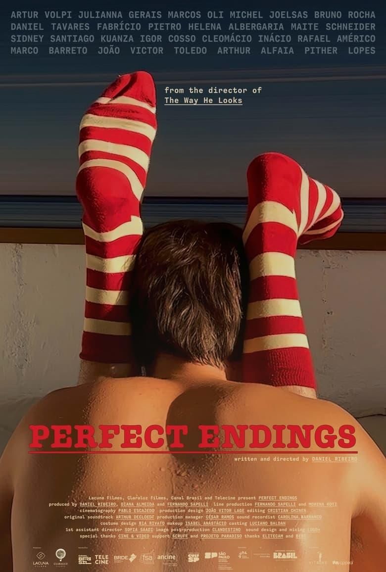 Perfect Endings poster image