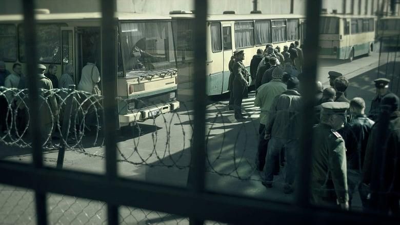 Amnesty thumbnail