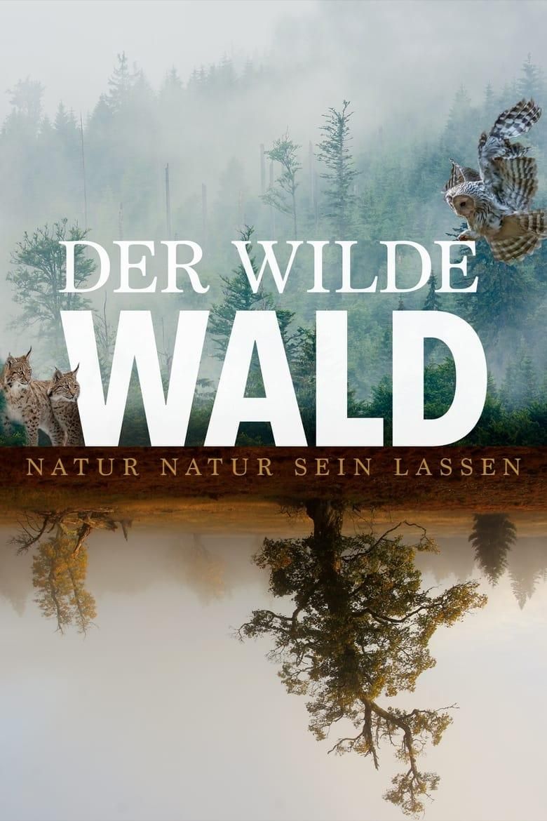 Der wilde Wald poster image